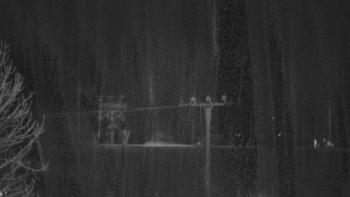 Snímek    29.10.2025 v 05:25