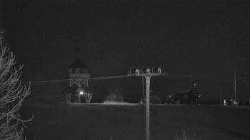 Snímek    29.10.2025 v 19:35