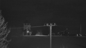 Snímek    29.10.2025 v 20:55