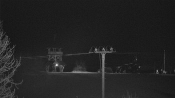 Snímek    29.10.2025 v 22:55