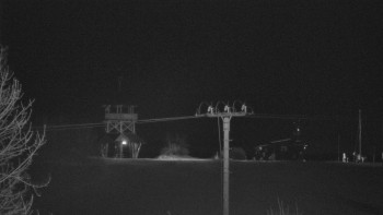 Snímek    29.10.2025 v 23:55