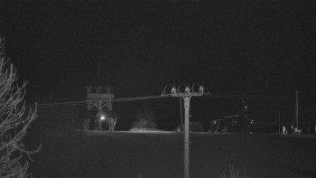 Snímek    30.10.2025 v 02:55