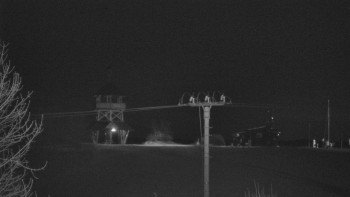 Snímek    31.10.2025 v 02:45