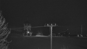 Snímek    31.10.2025 v 02:55