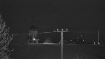 Snímek    31.10.2025 v 23:25