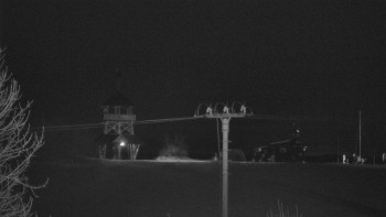 Snímek    1.11.2025 v 00:02