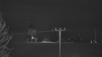 Snímek    2.11.2025 v 21:45