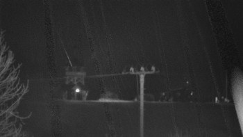 Snímek    2.11.2025 v 22:40