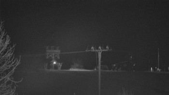 Snímek    3.11.2025 v 00:25