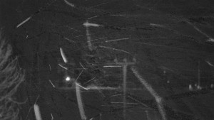 Skiareál Troják - Troják, Maruška - Meteostanice - 3.11.2025 v 03:02 Skiareál Troják - Troják, Maruška - Meteostanice - 3.11.2025 v 03:02