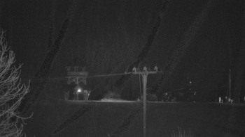 Snímek    3.11.2025 v 05:25