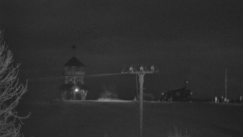 Snímek    3.11.2025 v 18:10