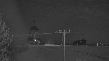 Snímek 6.11.2025 v 02:55