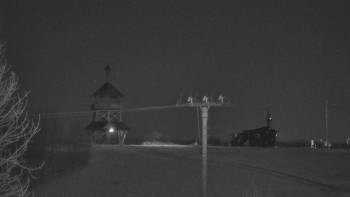 Snímek 7.11.2025 v 00:32