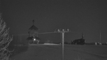 Snímek 7.11.2025 v 00:45