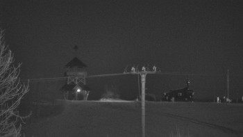 Snímek 7.11.2025 v 04:55