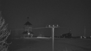 Snímek 7.11.2025 v 20:20