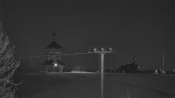 Snímek 7.11.2025 v 20:32