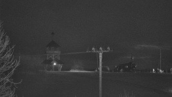 Snímek 8.11.2025 v 17:10