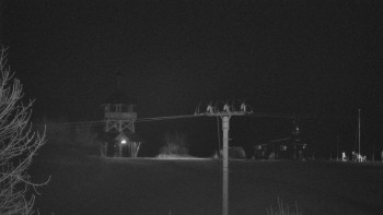 Snímek 8.11.2025 v 17:45