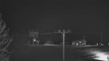 Snímek 8.11.2025 v 18:32