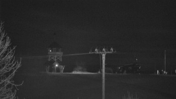 Snímek 8.11.2025 v 18:55