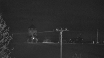 Snímek 8.11.2025 v 19:35