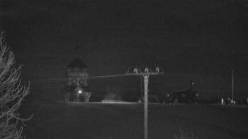 Snímek 8.11.2025 v 19:55