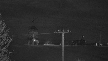 Snímek 8.11.2025 v 20:10