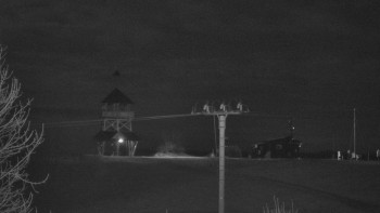 Snímek 8.11.2025 v 20:20