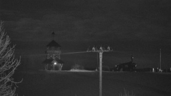 Snímek 8.11.2025 v 20:35