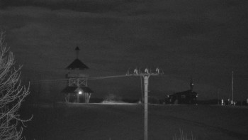 Snímek 8.11.2025 v 21:25