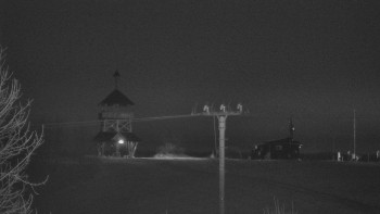 Snímek 9.11.2025 v 02:50