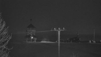 Snímek 9.11.2025 v 03:02