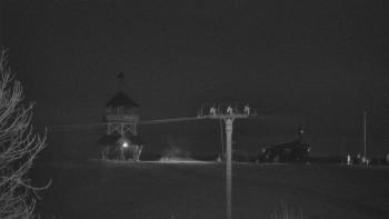 Snímek 9.11.2025 v 03:25