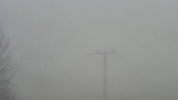 Snímek 9.11.2025 v 14:55