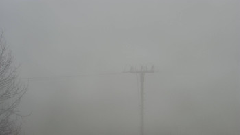 Snímek 9.11.2025 v 15:25