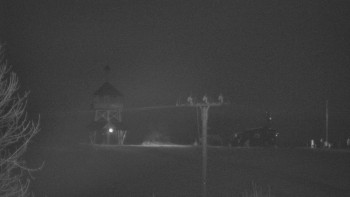 Snímek 10.11.2025 v 01:50