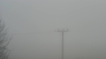 Snímek 14.11.2025 v 06:55