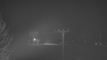 Snímek 15.11.2025 v 00:25