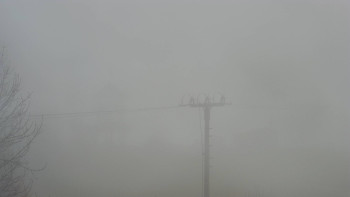 Snímek 16.11.2025 v 08:05