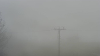 Snímek 16.11.2025 v 11:15