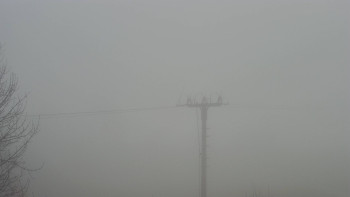 Snímek 17.11.2025 v 07:20