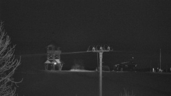 Snímek 18.11.2025 v 17:55