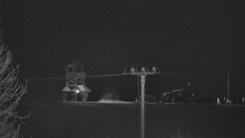 Snímek 19.11.2025 v 03:10