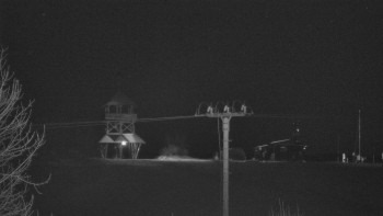 Snímek 19.11.2025 v 03:25