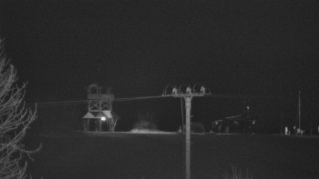 Snímek 19.11.2025 v 19:15