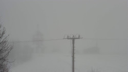 Troják, Maruška - Meteostanice