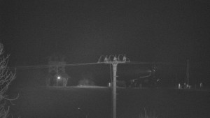 Skiareál Troják - Troják, Maruška - Meteostanice - 25.12.2025 v 00:45 Skiareál Troják - Troják, Maruška - Meteostanice - 25.12.2025 v 00:45