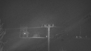 Skiareál Troják - Troják, Maruška - Meteostanice - 25.12.2025 v 04:25 Skiareál Troják - Troják, Maruška - Meteostanice - 25.12.2025 v 04:25